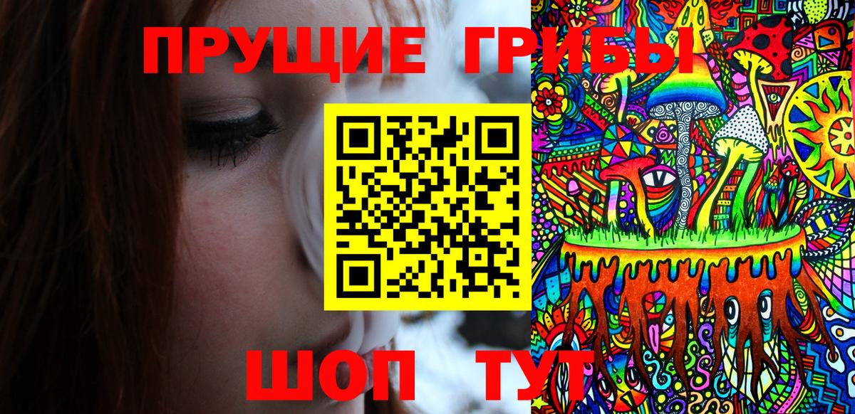 Галлюциногенные грибы GOLDEN TEACHER  Галлюциногенные грибы прущие грибы  Энгельс  Вход с VPN 